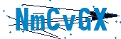 recaptcha