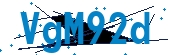 recaptcha