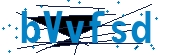 recaptcha