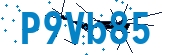 recaptcha